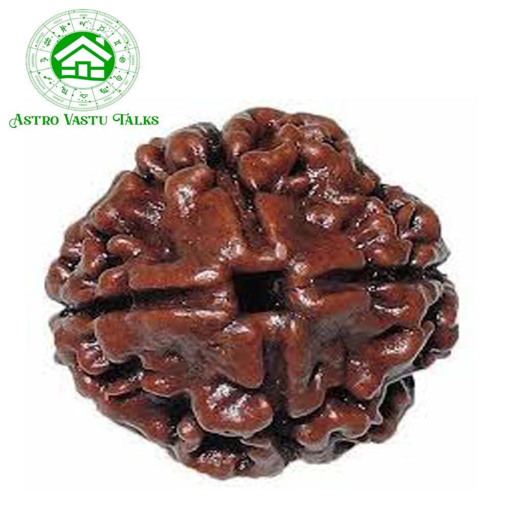 4 Mukhi Natural Rudraksha