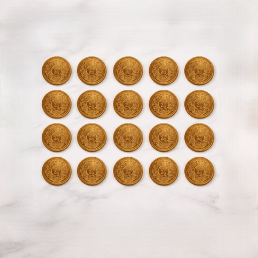 Copper Coin (Set of 21)