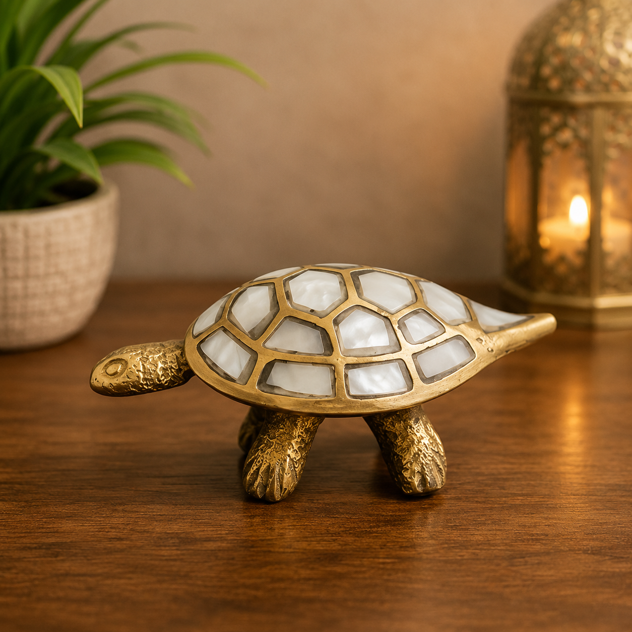 Wish Fulfilment Tortoise