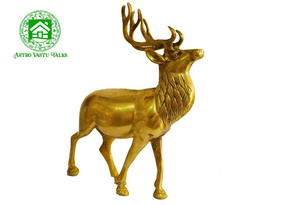 Deer