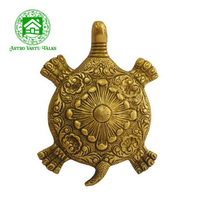 Tortoise