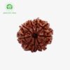 Natural 9 Mukhi Nepal Rudraksha