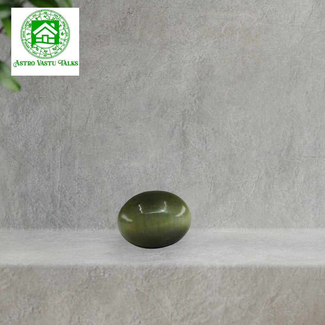 Cat's Eye (Lehsunia)