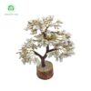Natural & Original Gomti Chakra | Gomati Chakra Tree for Good Luck & Prosperity (300 Beads Approx) (1 Pc)
