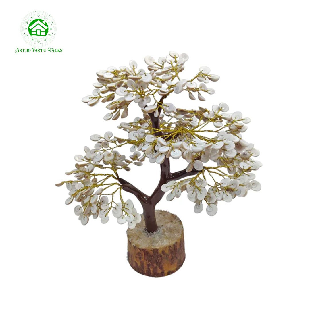 Natural & Original Gomti Chakra | Gomati Chakra Tree for Good Luck & Prosperity (300 Beads Approx) (1 Pc)