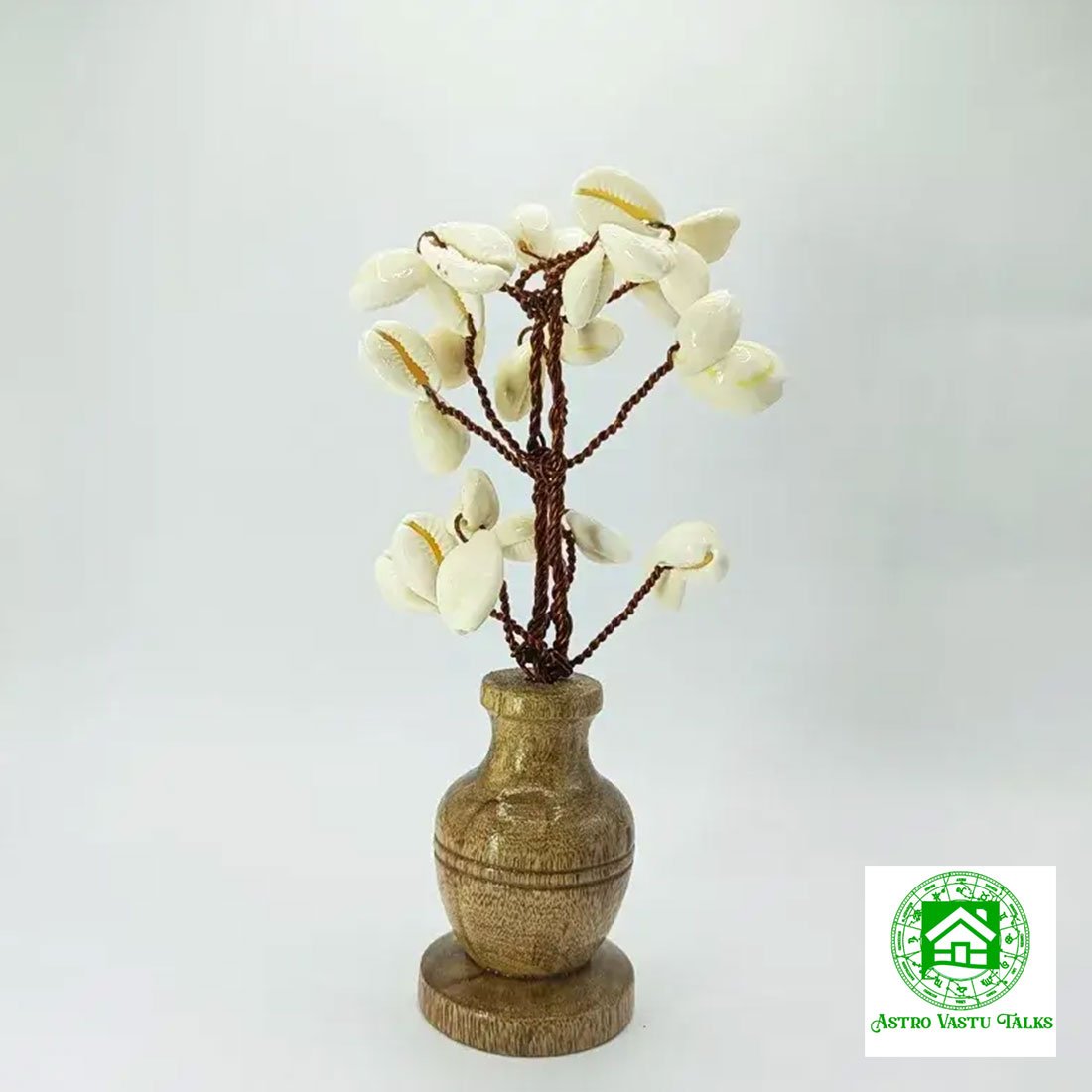 White Kaudi Tree