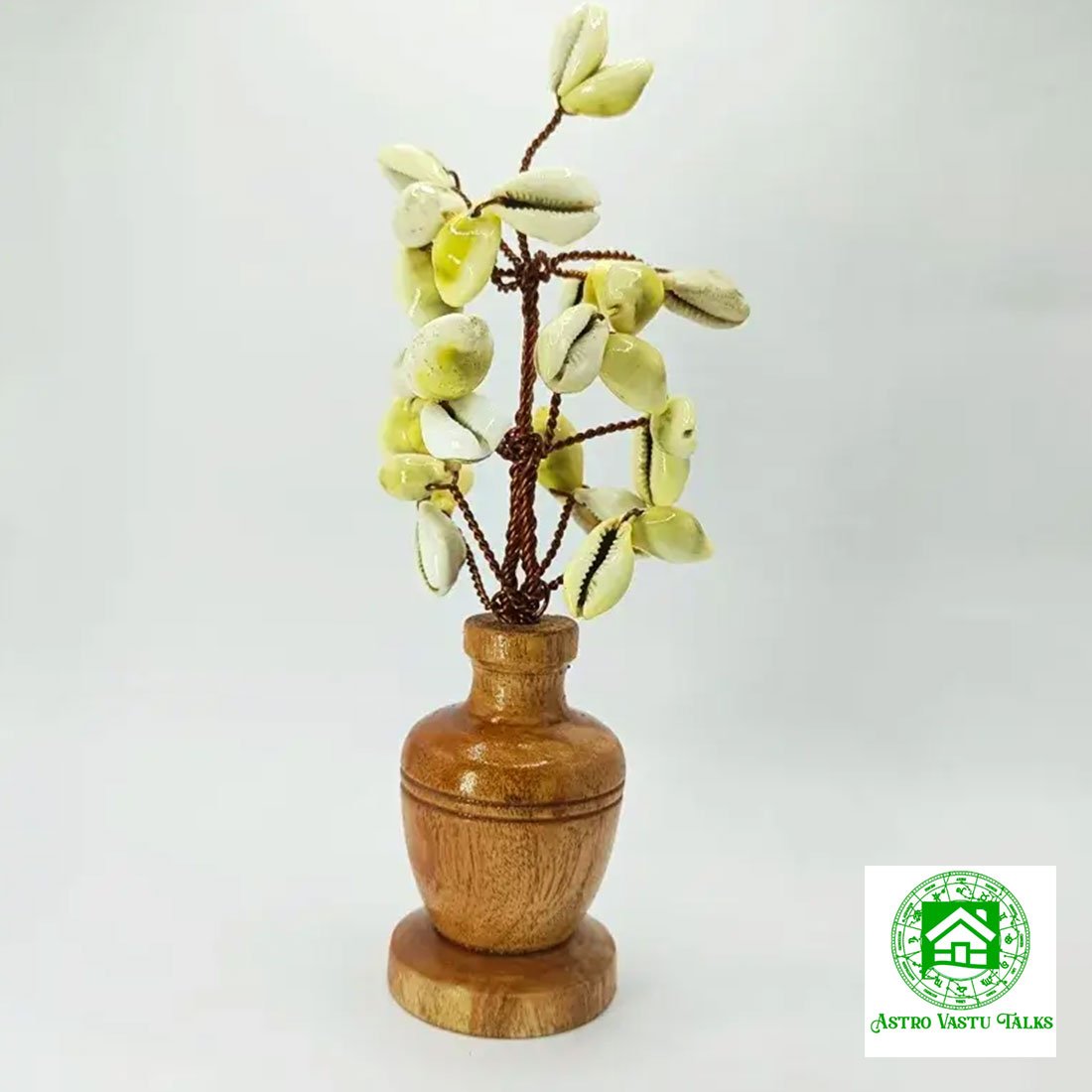 Yellow Kaudi Tree