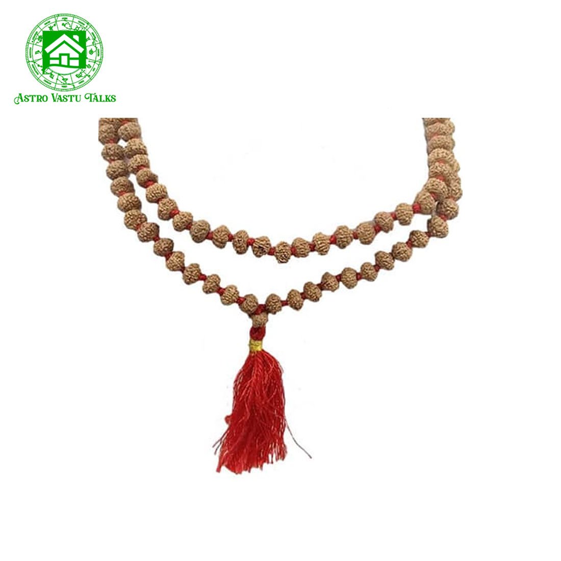 Nau Mukhi Rudraksha Mala (108 Beads)