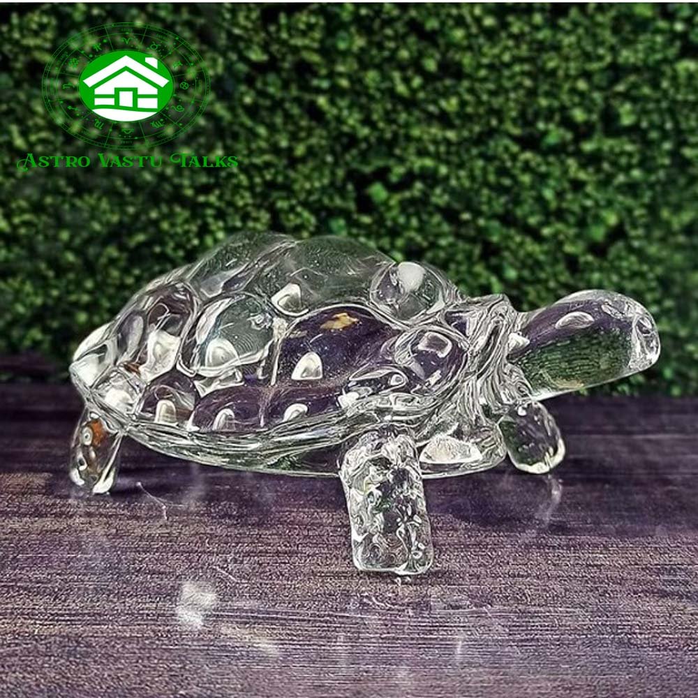 Tortoise