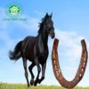 Horseshoe neel
