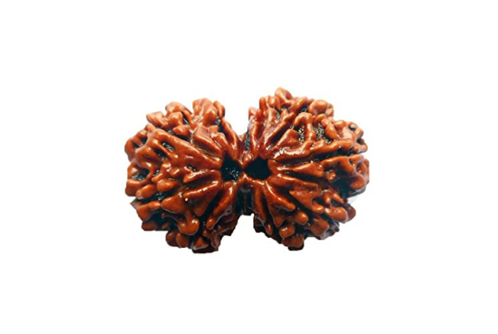 Gauri Shanker Rudraksha