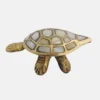 Wish Fulfilment Tortoise