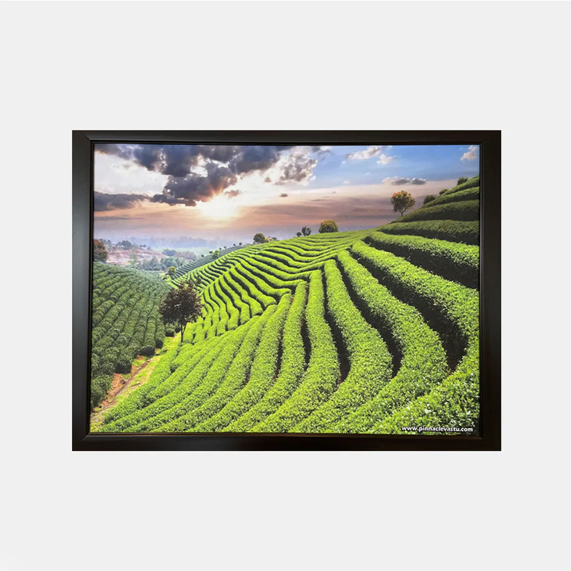 Green Landscape Painting (Small)
