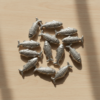 Lead Fish 11 Pieces